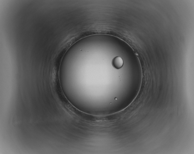 X0000110670744200906191345