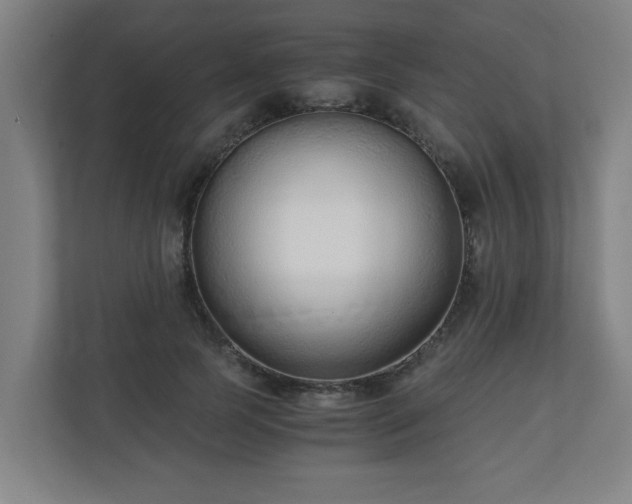 X0000110670745200906191345