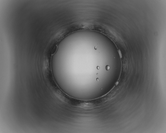 X0000110670748200906191345