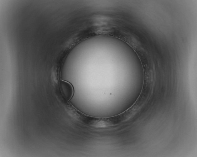 X0000110670755200906191345