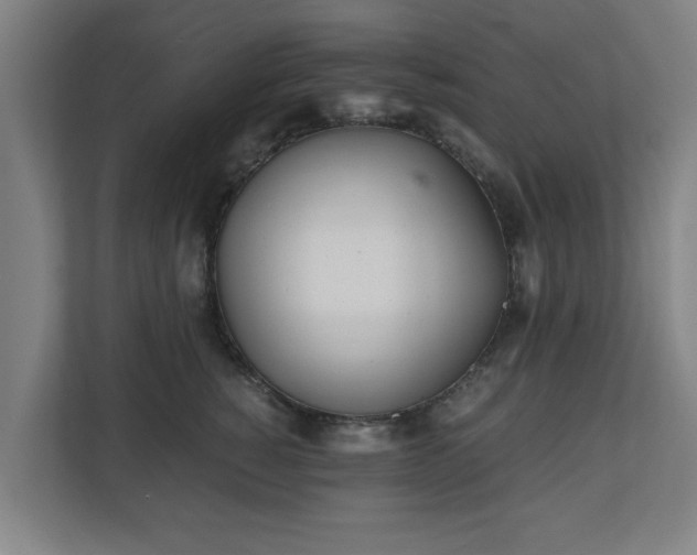 X0000110670760200906191345