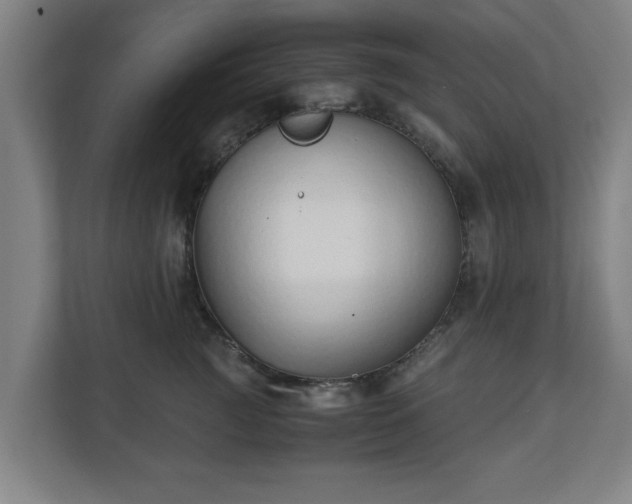 X0000110670761200906191345