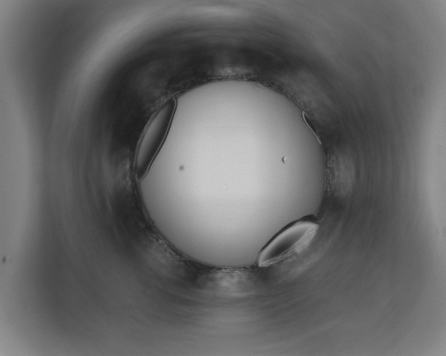 X0000110670762200906191345