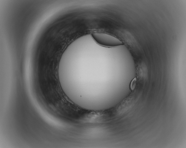 X0000110670764200906191345