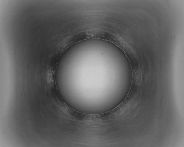 X0000110670770200906191344