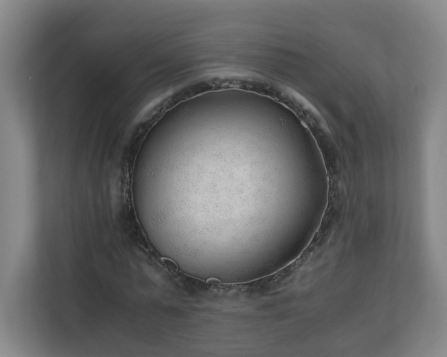 X0000110670775200906191344