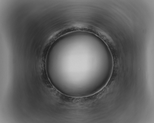 X0000110670776200906191344