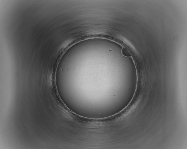 X0000110670777200906191344