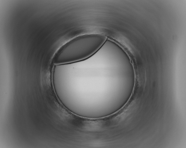 X0000110670781200906191344