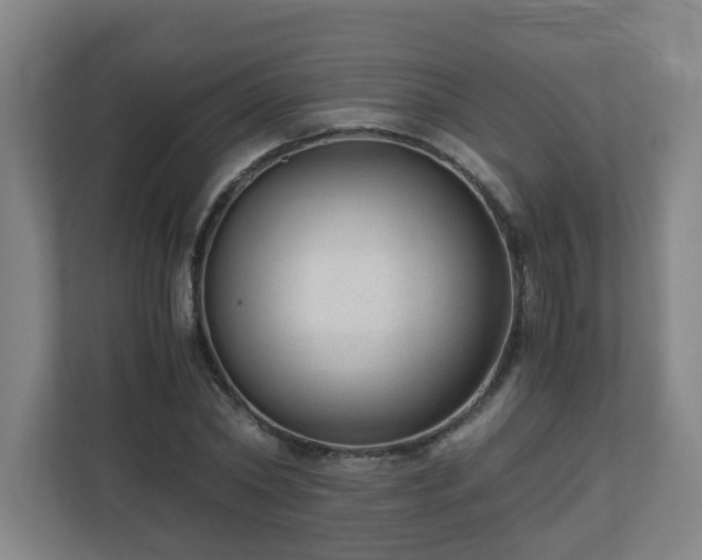 X0000110670782200906191344