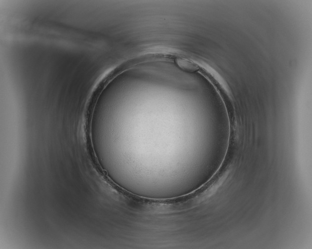 X0000110670783200906191344