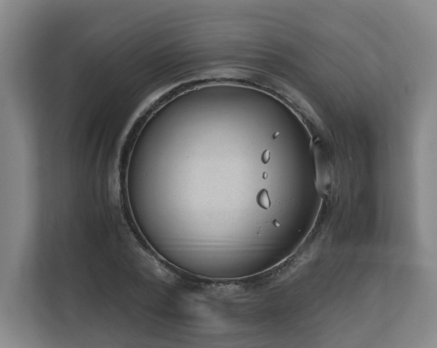 X0000110670784200906191344