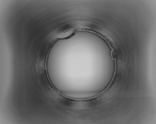 X0000110670785200906191344