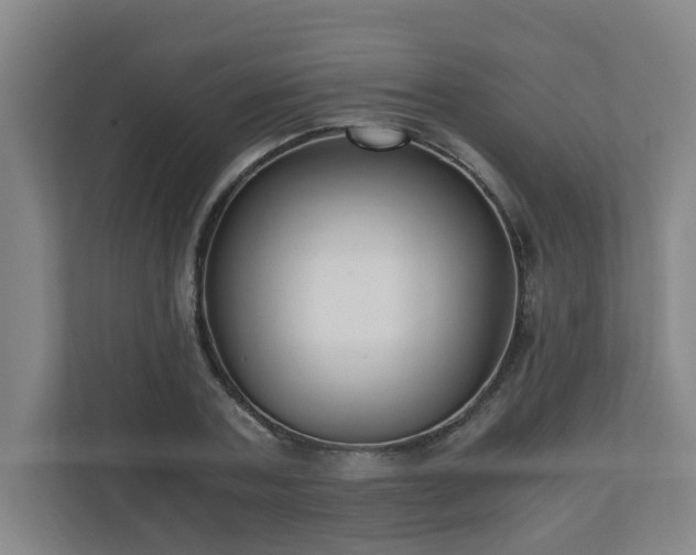 X0000110670787200906191344