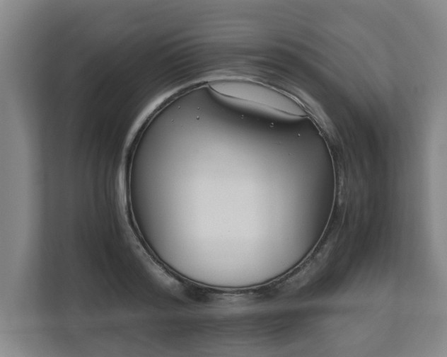 X0000110670796200906191344