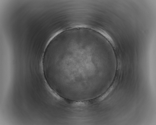 X0000110670806200906191344