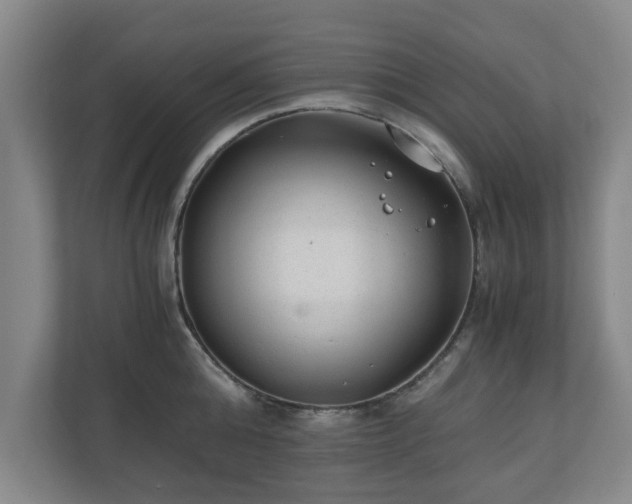 X0000110670808200906191344