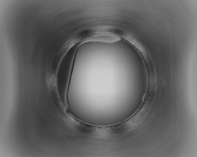 X0000110670809200906191344