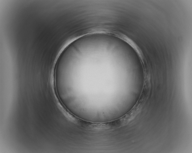 X0000110670811200906191344