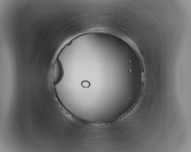 X0000110670816200906191344