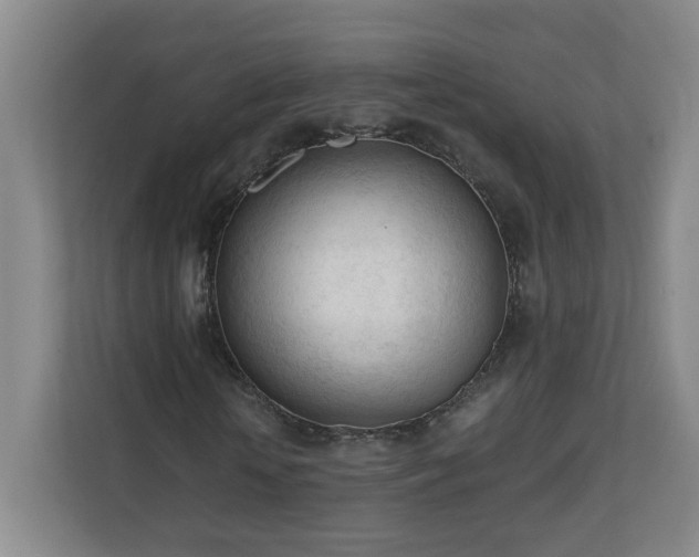 X0000110670818200906191343