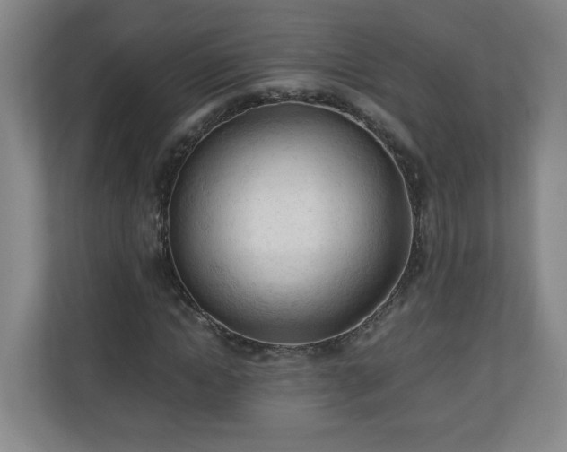 X0000110670822200906191343