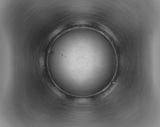 X0000110670826200906191343