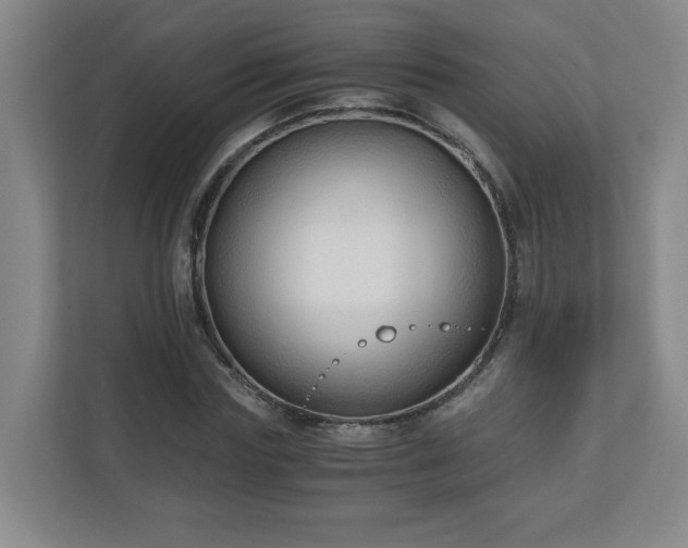 X0000110670827200906191343