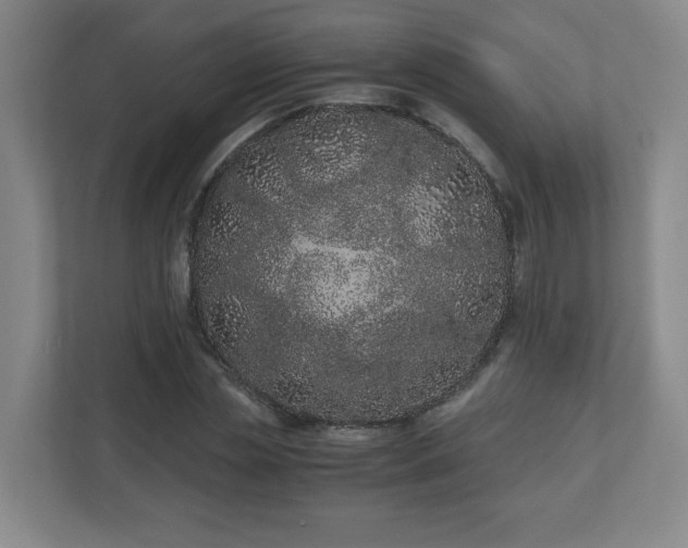 X0000110670829200906191343