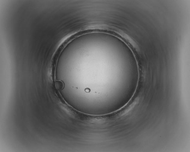 X0000110670830200906191343