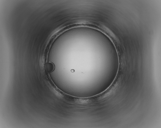 X0000110670831200906191343