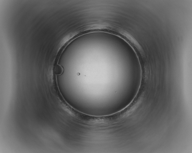 X0000110670834200906191343