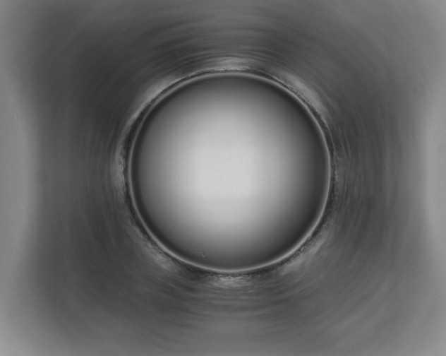 X0000110670835200906191343
