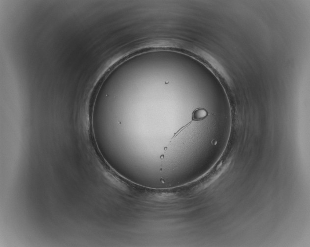 X0000110670837200906191343