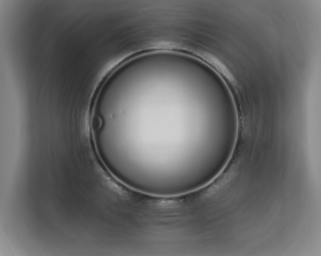 X0000110670839200906191343