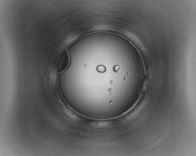 X0000110670841200906191343