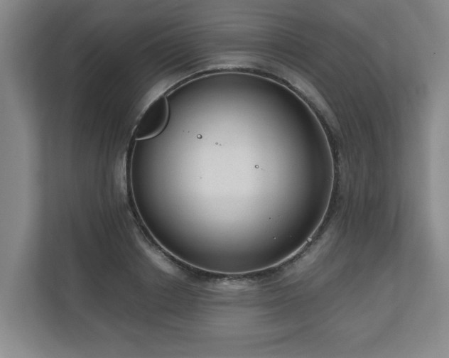 X0000110670842200906191343