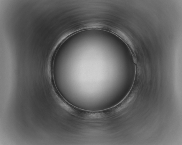X0000110670843200906191343