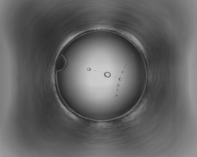 X0000110670847200906191343