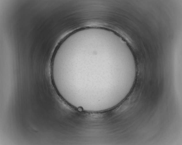 X0000110670848200906191343