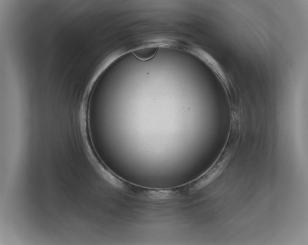 X0000110670859200906191344
