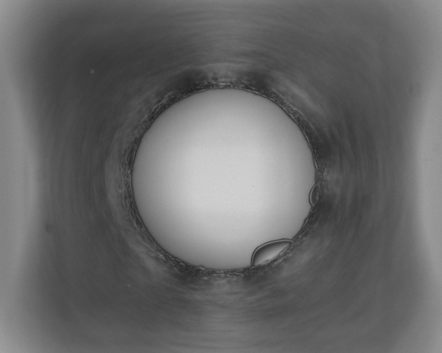 X0000110670865200906191343