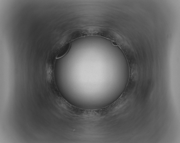 X0000110670866200906191343