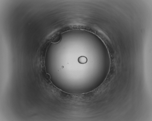 X0000110670870200906191343