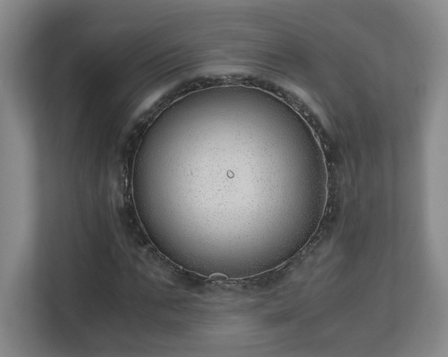 X0000110670871200906191343