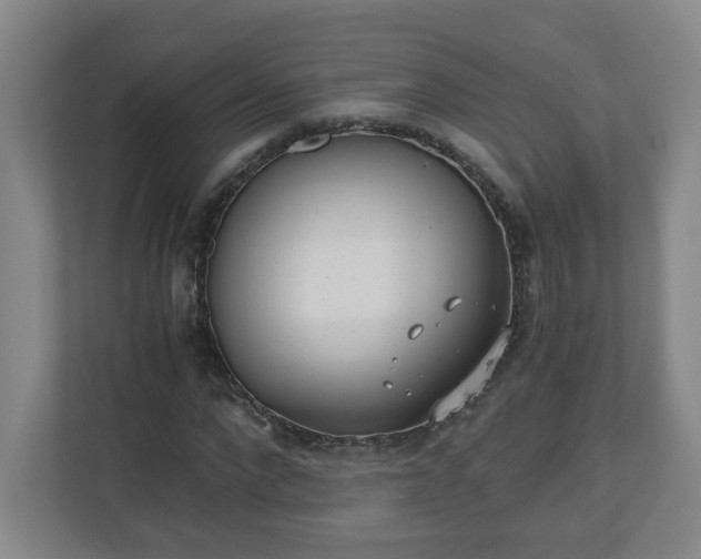 X0000110670872200906191343