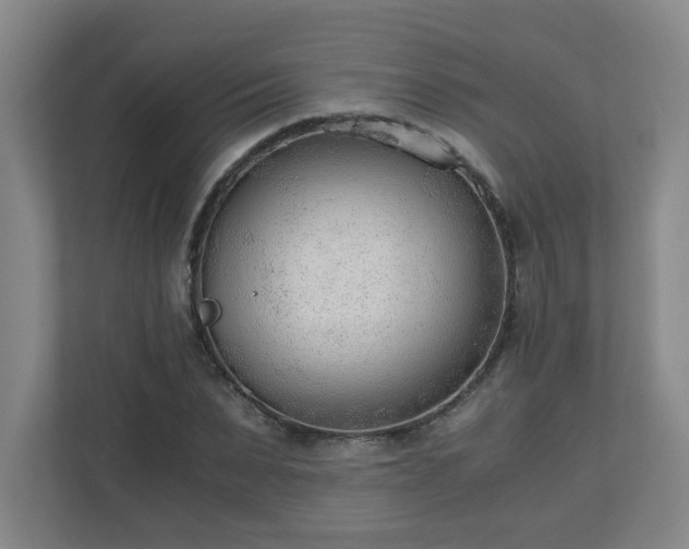X0000110670879200906191343