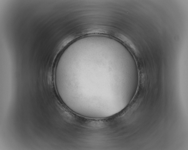 X0000110670882200906191343