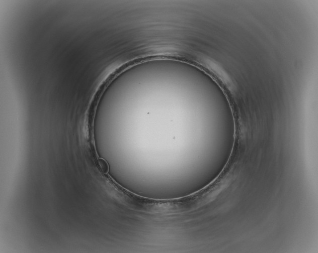 X0000110670883200906191343