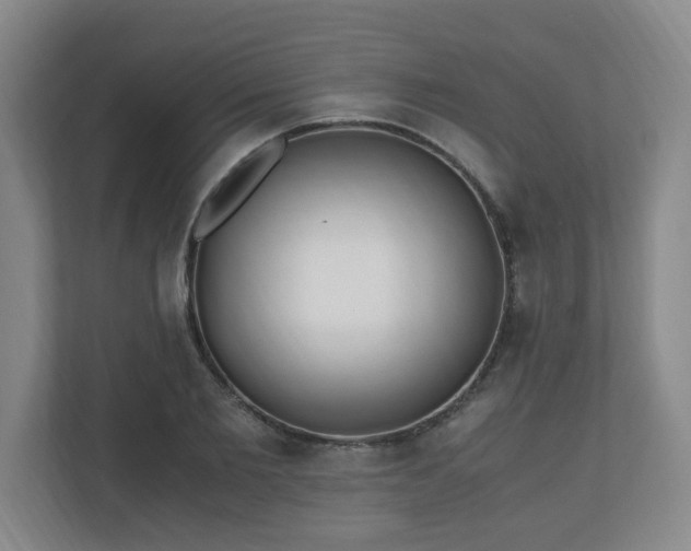 X0000110670885200906191343